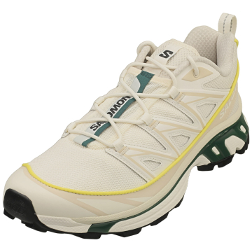 Salomon Gtx-6 Expanse